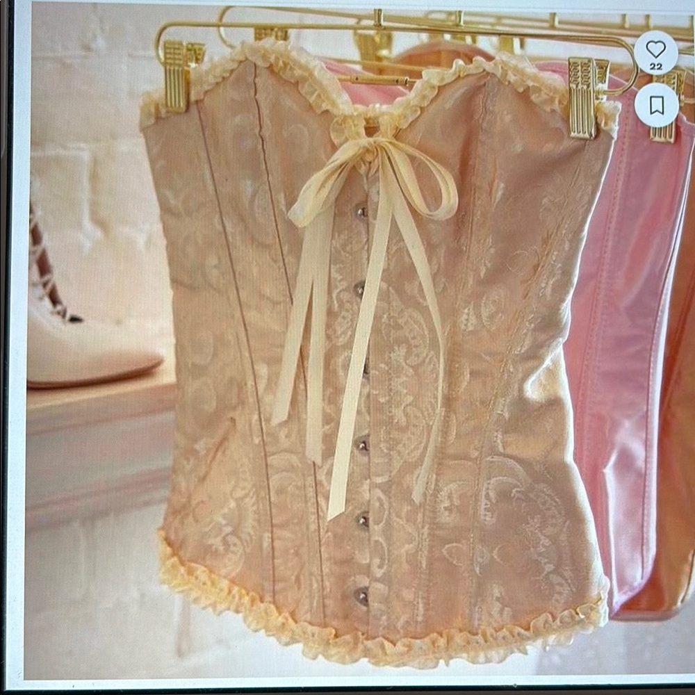 Vanessa Mooney Pale Pink and Cream Brocade Corset Camisole